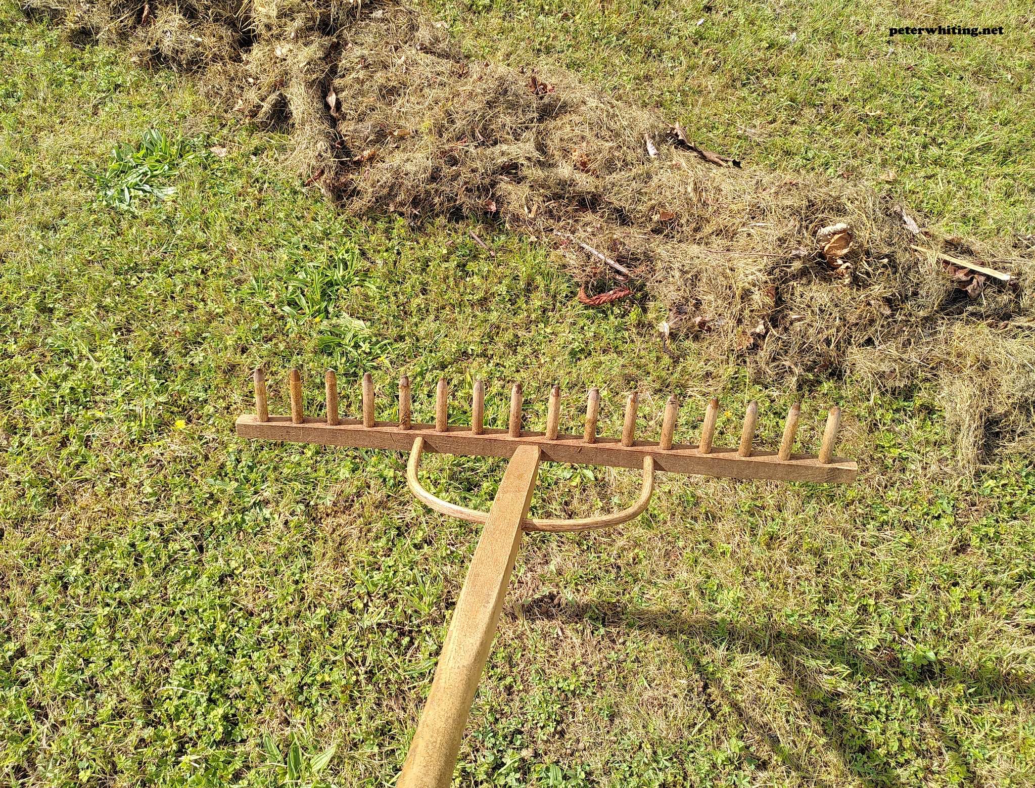 Rake through 2025