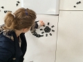 2015-04-13 10.56.21.jpg