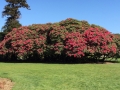 2015-04-14 11.43.38.jpg