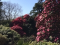 2015-04-14 12.08.07.jpg