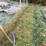 scything with frost