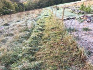 scything with frost