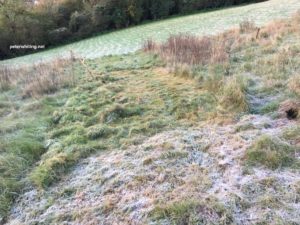 scything with frost