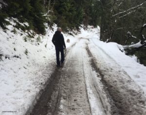 skiing in the french alps