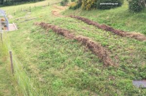 rows and rows of windrows