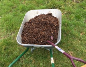 woodchips in wheelbarrow