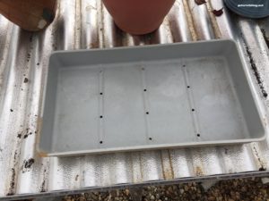 tray for planting seeds