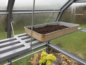 seed tray in position