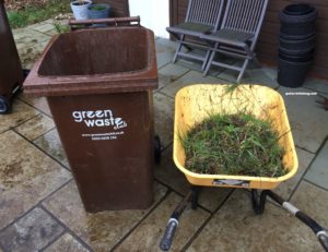 weeds in the green waste bin