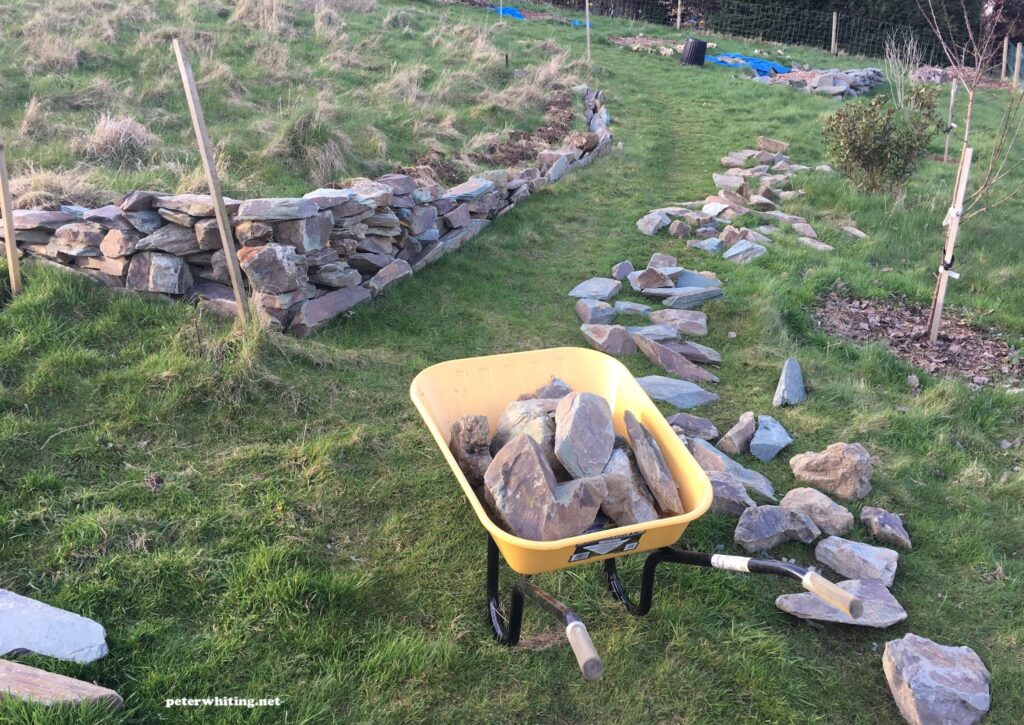 On my knees - building these stone wall in my garden (down a steep hill) accelerated my arthritis